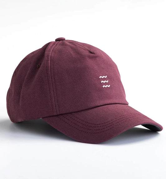 Free Fly Icon Cap