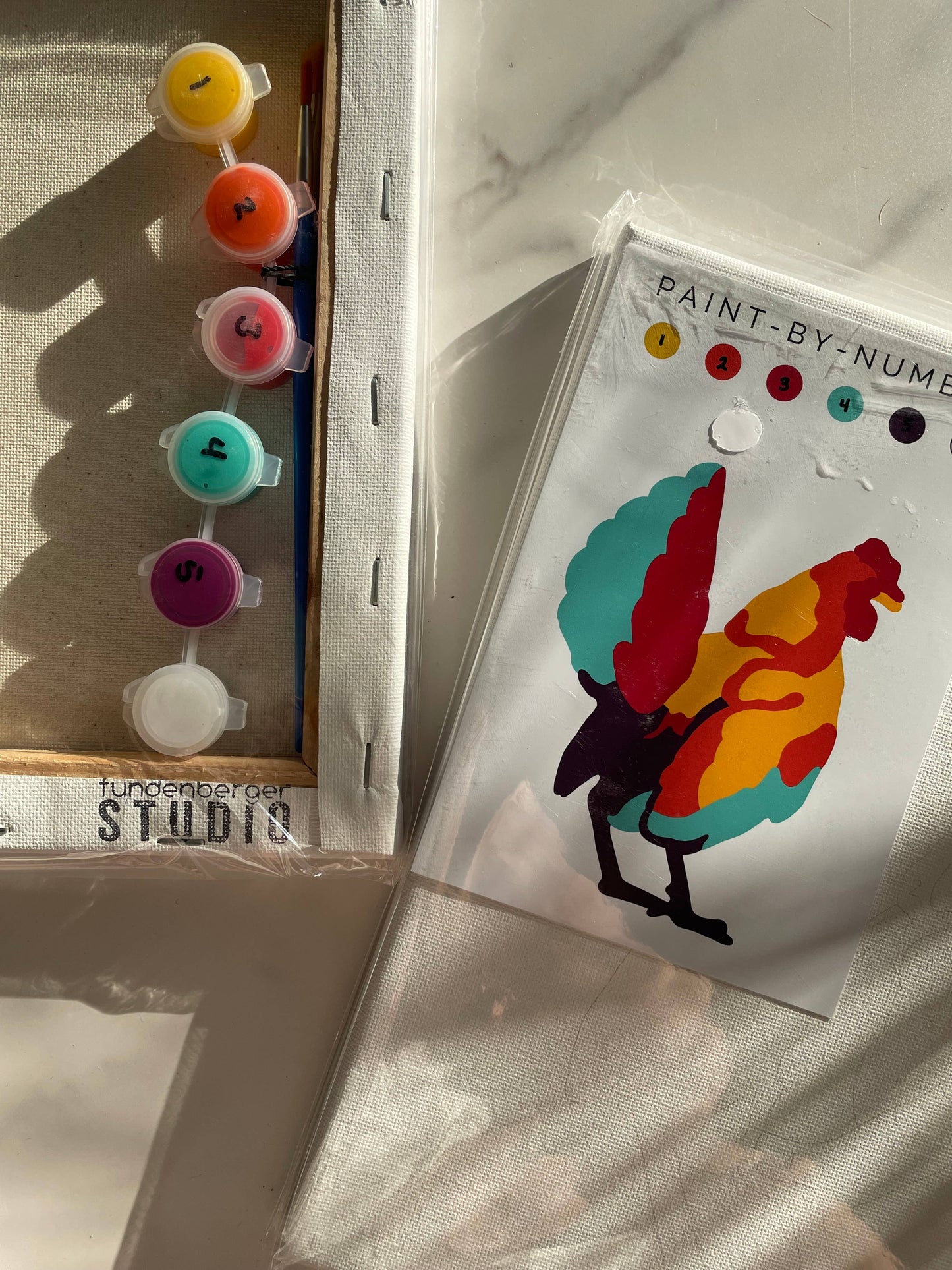 Hen Paint-By-Number