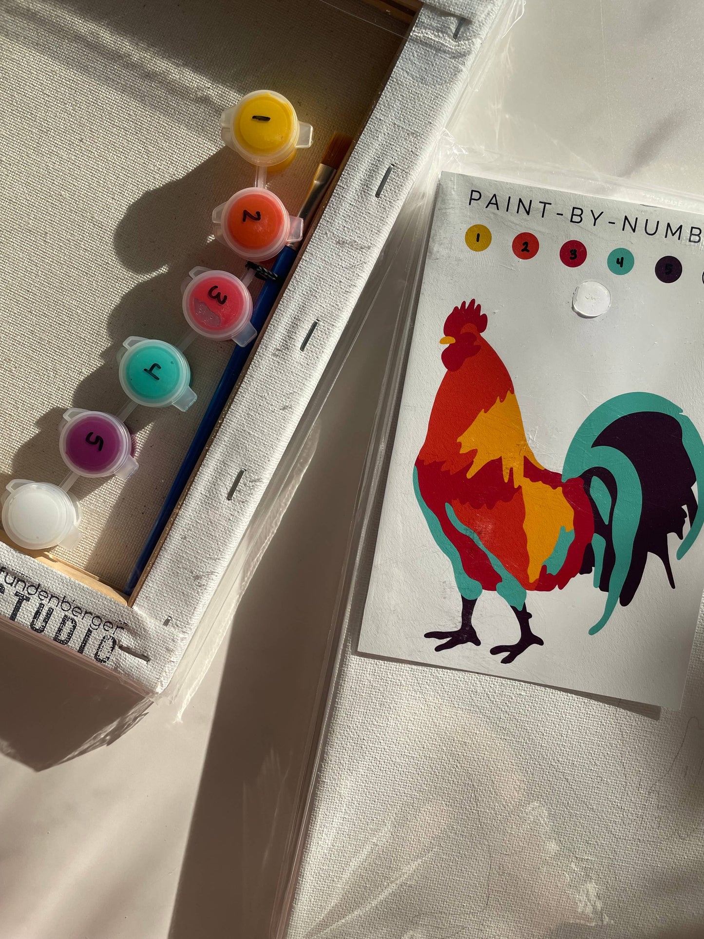 Rooster Paint-By-Number