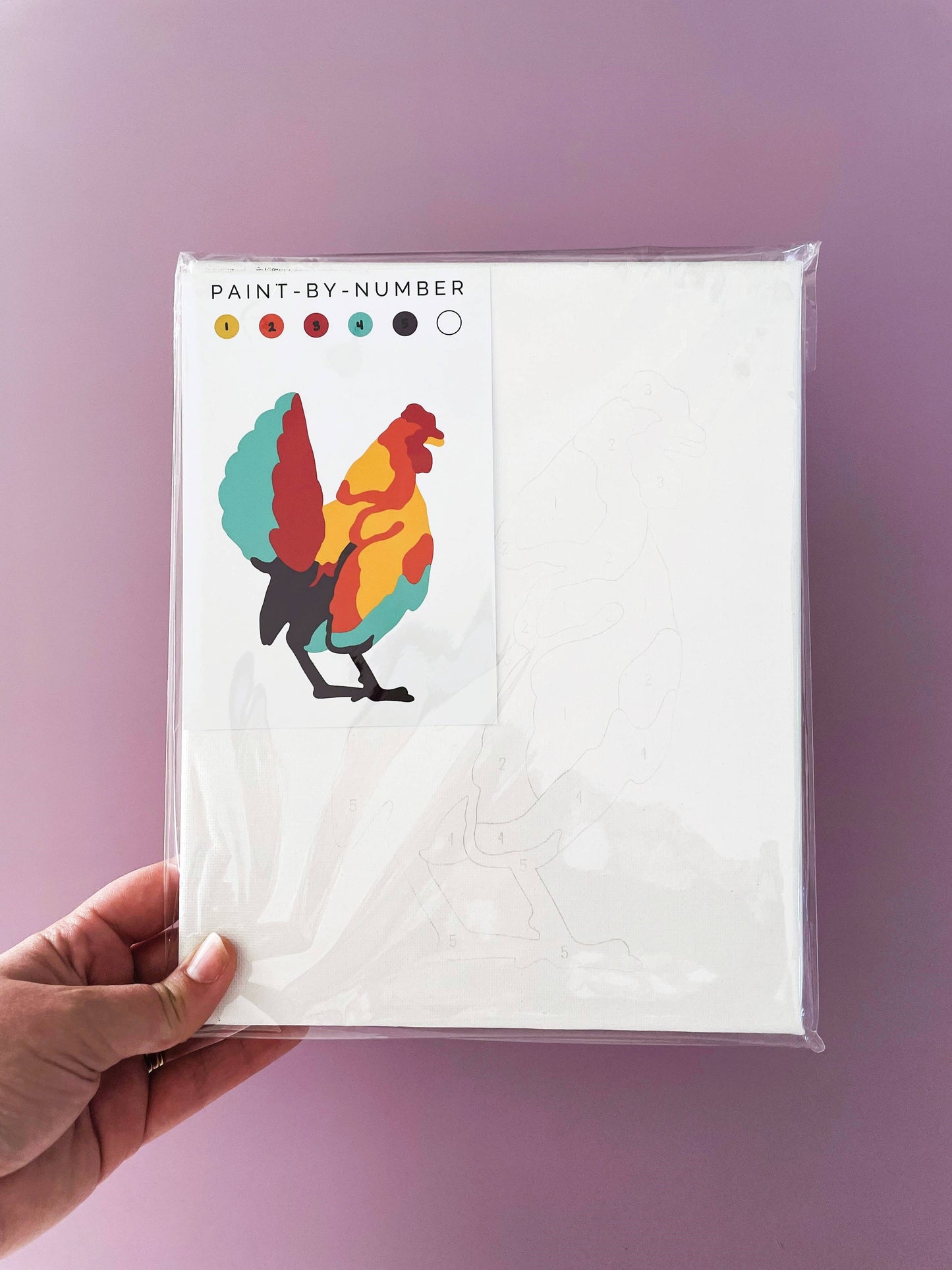 Hen Paint-By-Number