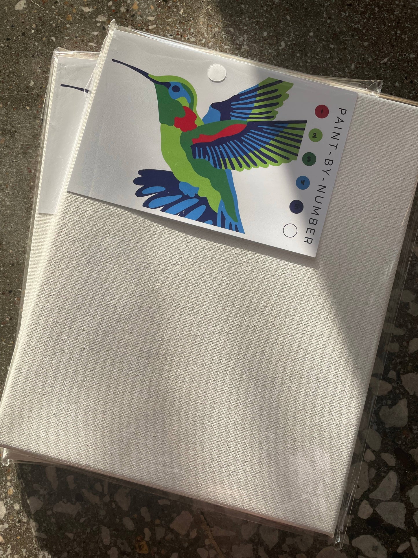 Hummingbird Paint-By-Number